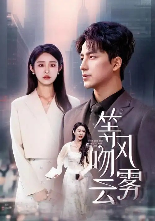 长风渡月 热播电视剧全集高清在线观看